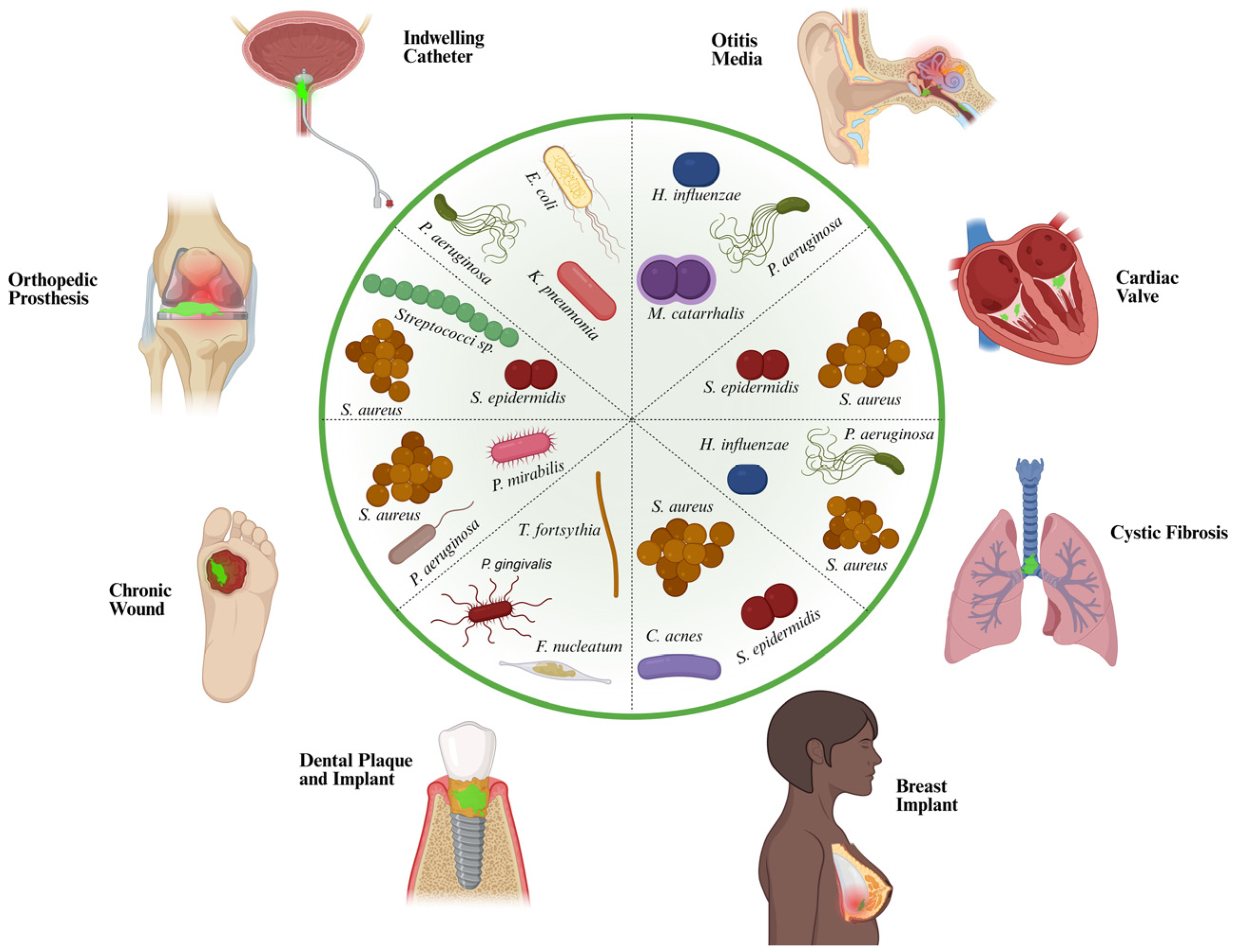 Antibiotics 15 00396 g003 Antibiotics 15 00396 g003