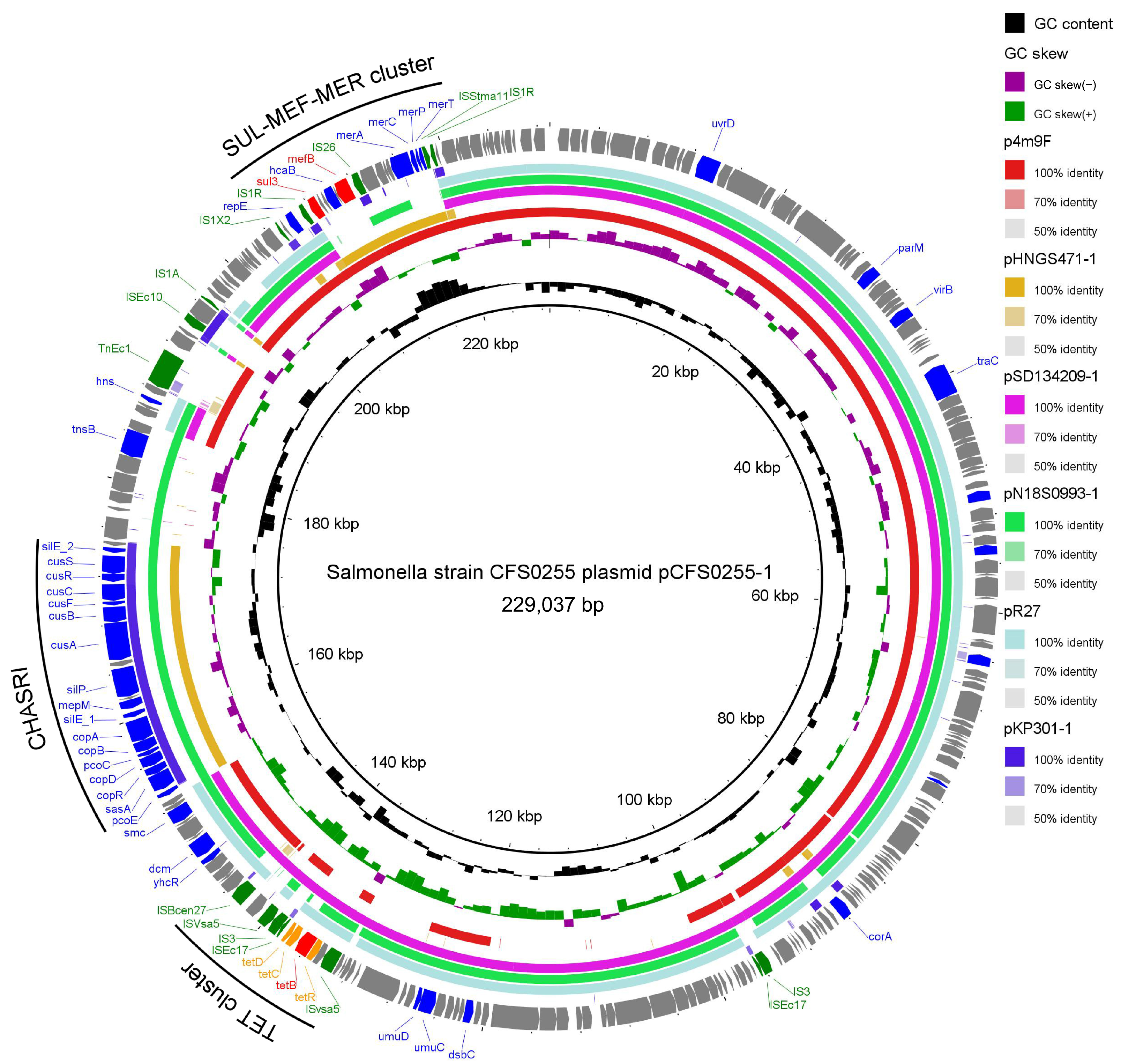 Antibiotics 15 00511 g003 Antibiotics 15 00511 g003