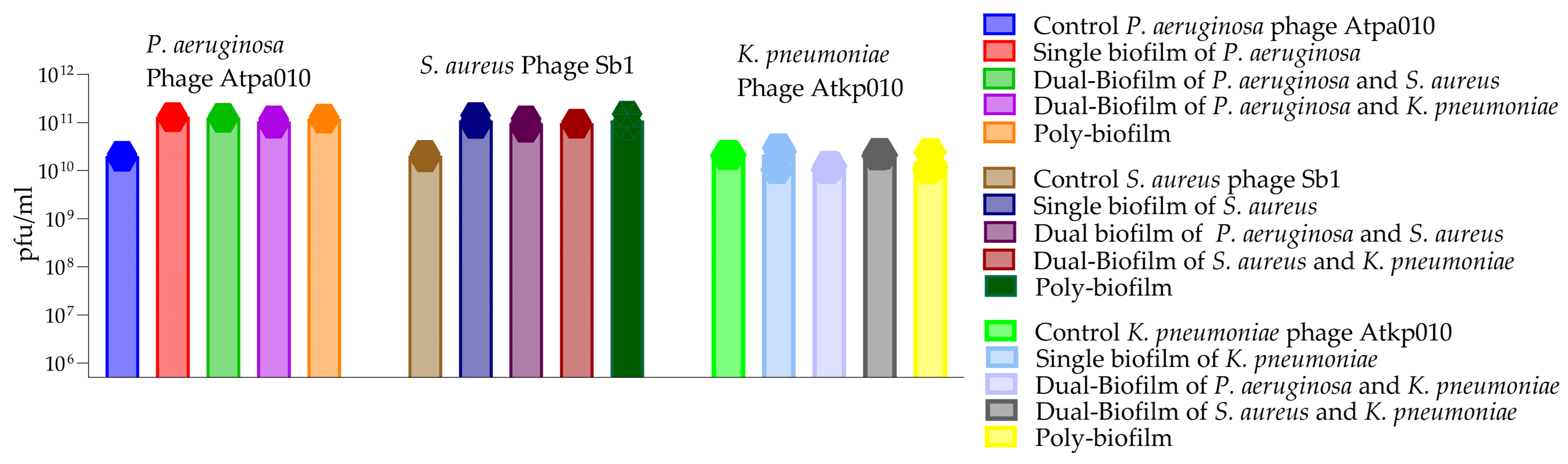 Antibiotics 15 00537 g010 Antibiotics 15 00537 g010