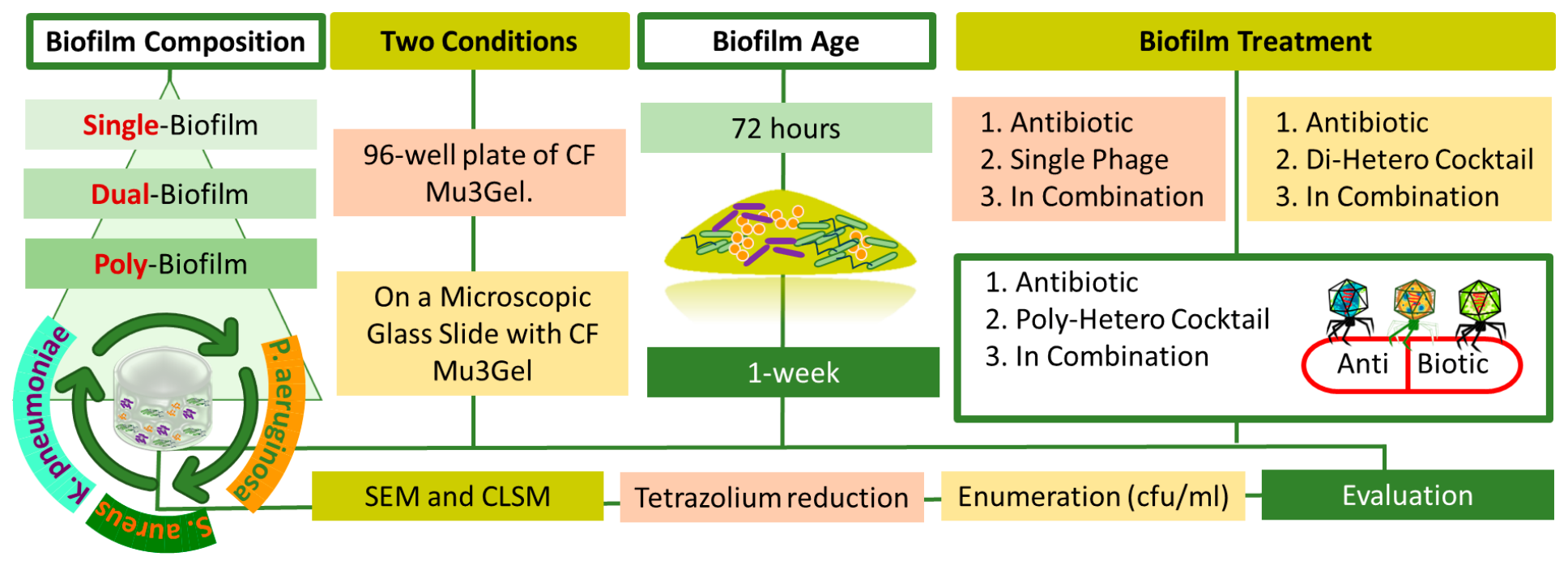 Antibiotics 15 00537 g014 Antibiotics 15 00537 g014