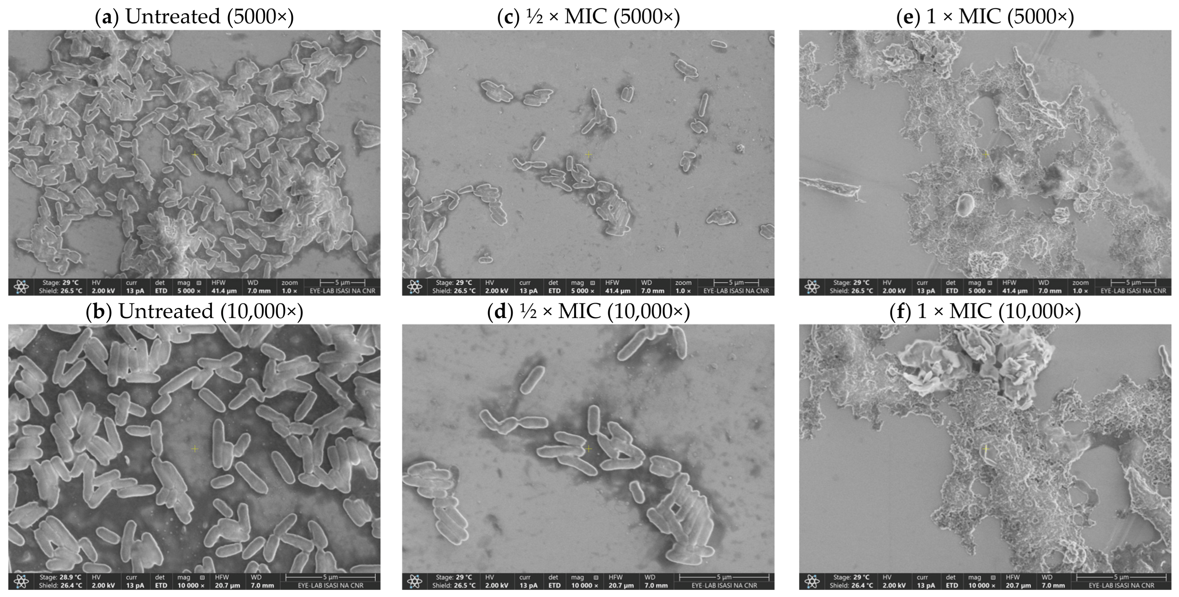 Antibiotics 15 00711 g011 Antibiotics 15 00711 g011
