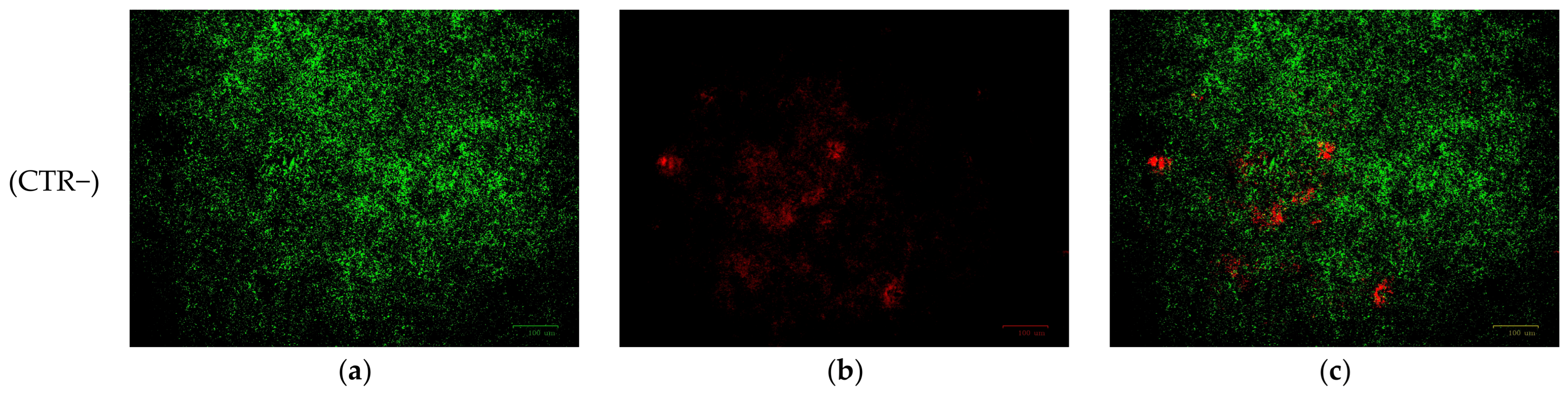 Antibiotics 15 00711 g012a Antibiotics 15 00711 g012a