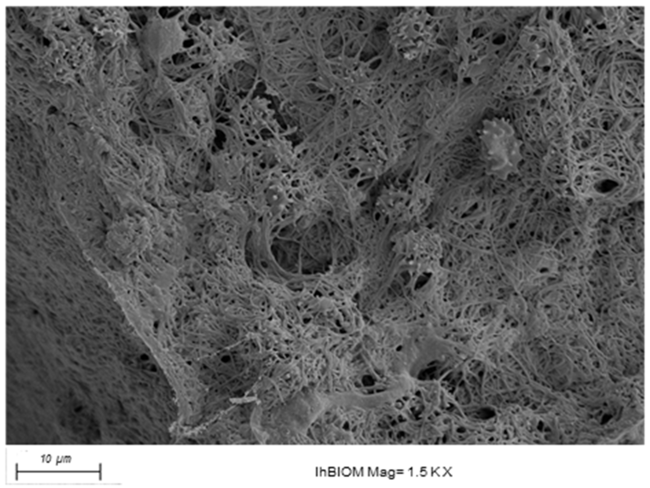 Antibiotics 15 00739 g002 Antibiotics 15 00739 g002