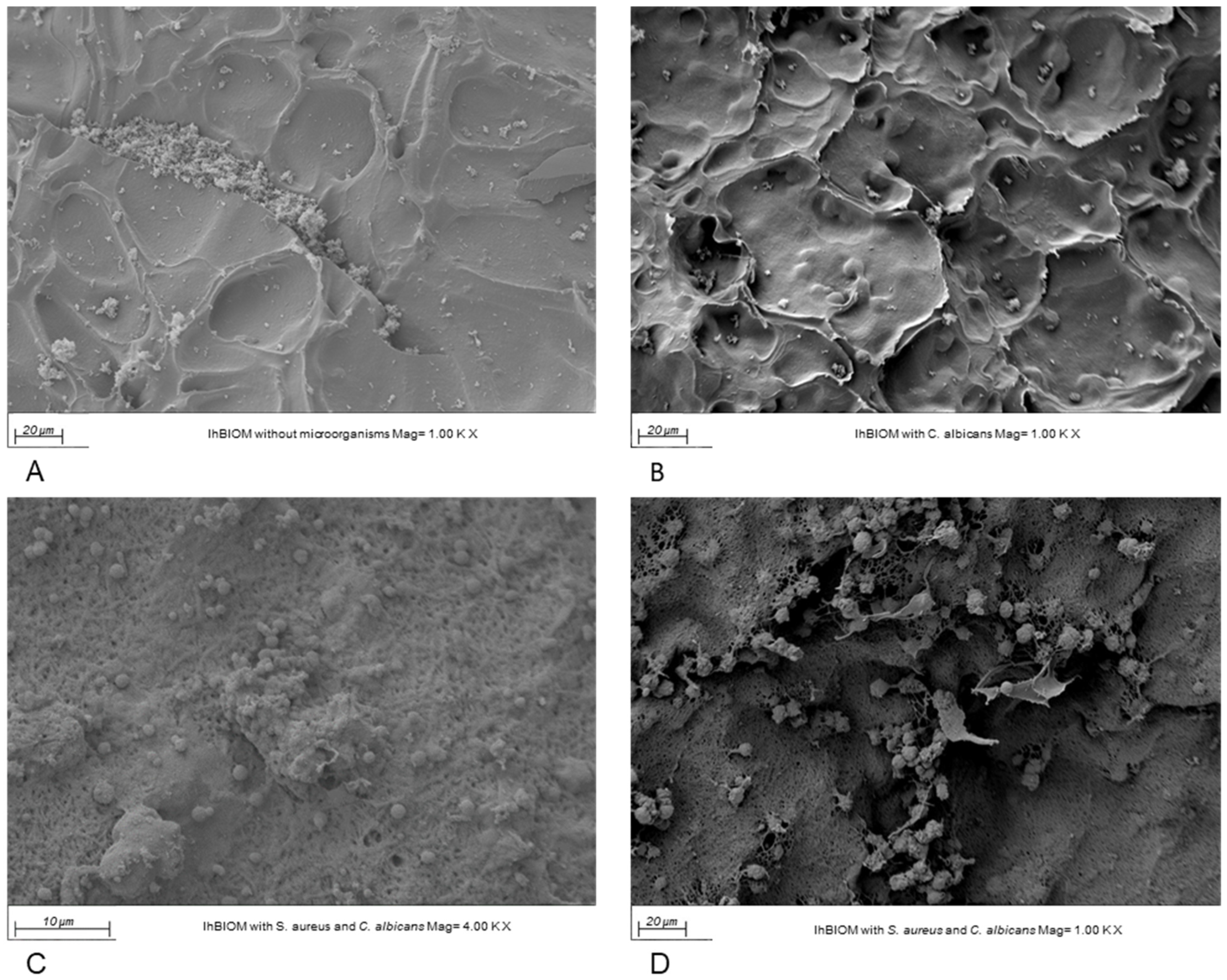 Antibiotics 15 00739 g003 Antibiotics 15 00739 g003