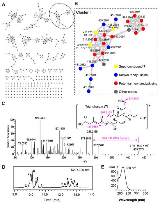 Antibiotics 15 00789 g001