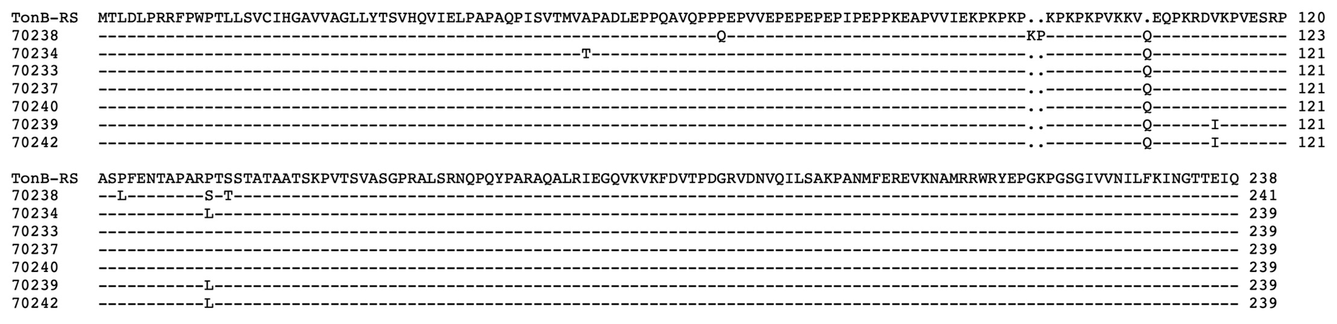 Antibiotics 15 00802 g002 Antibiotics 15 00802 g002
