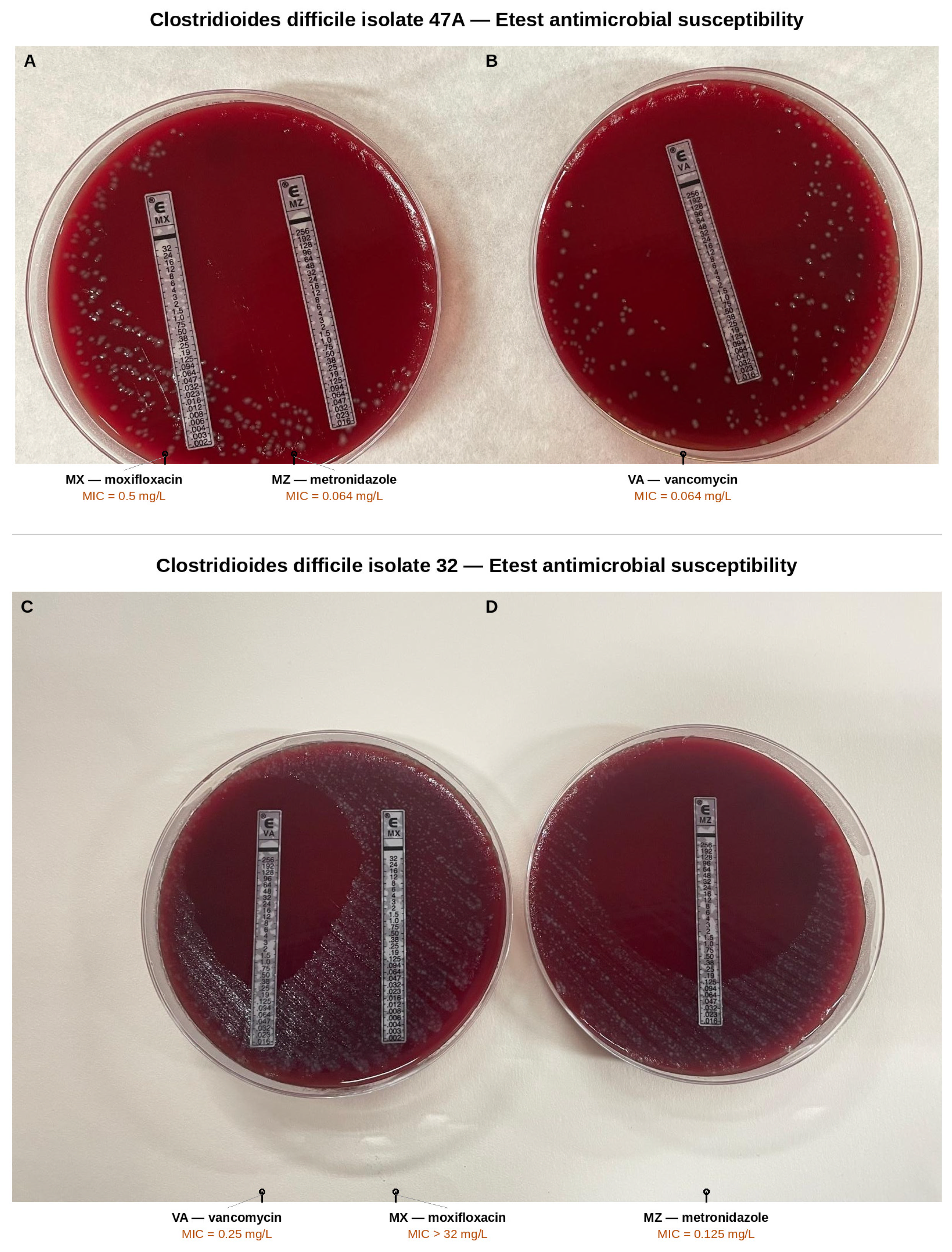 Antibiotics 15 00939 g004 Antibiotics 15 00939 g004