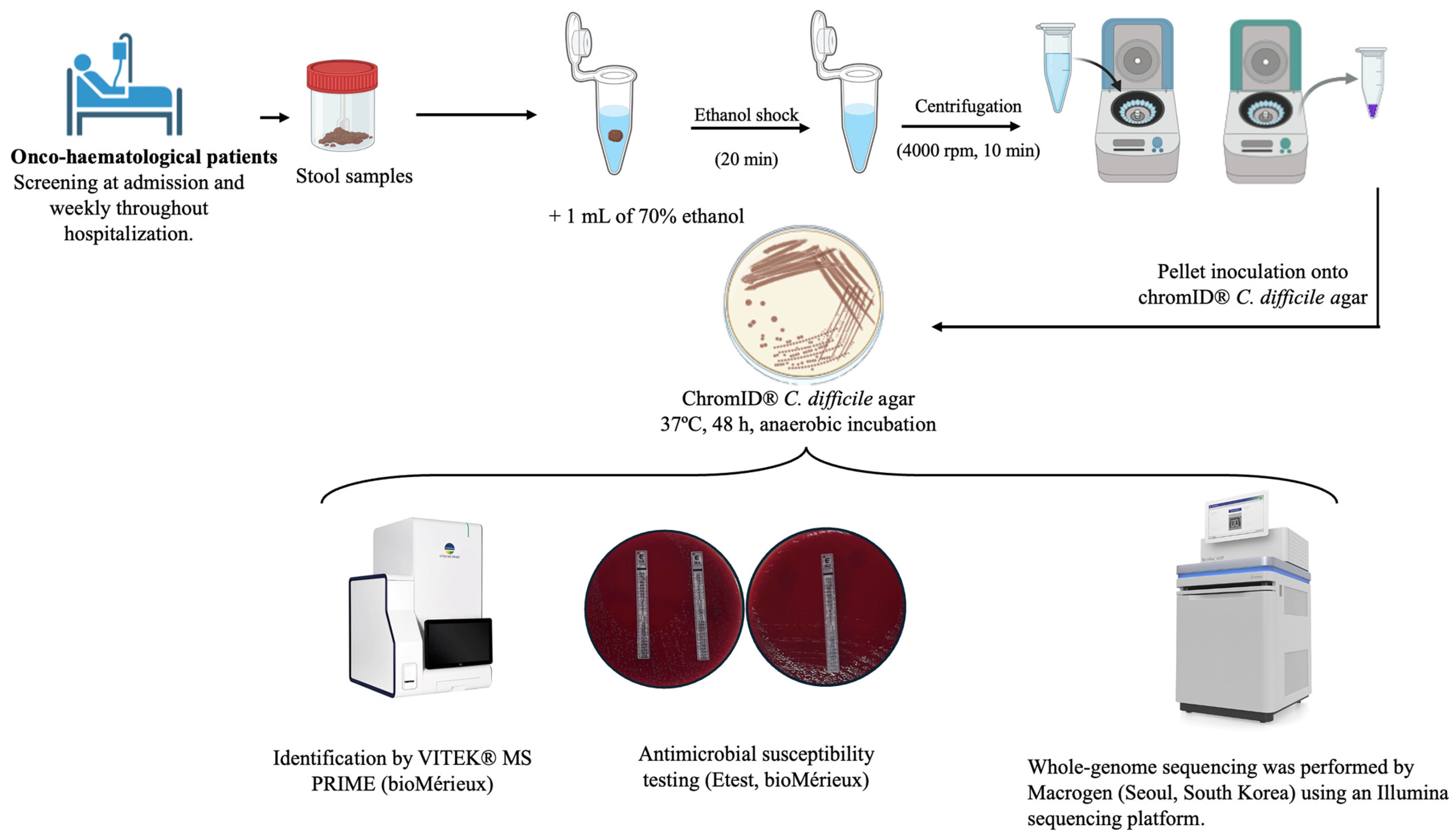 Antibiotics 15 00939 g005 Antibiotics 15 00939 g005