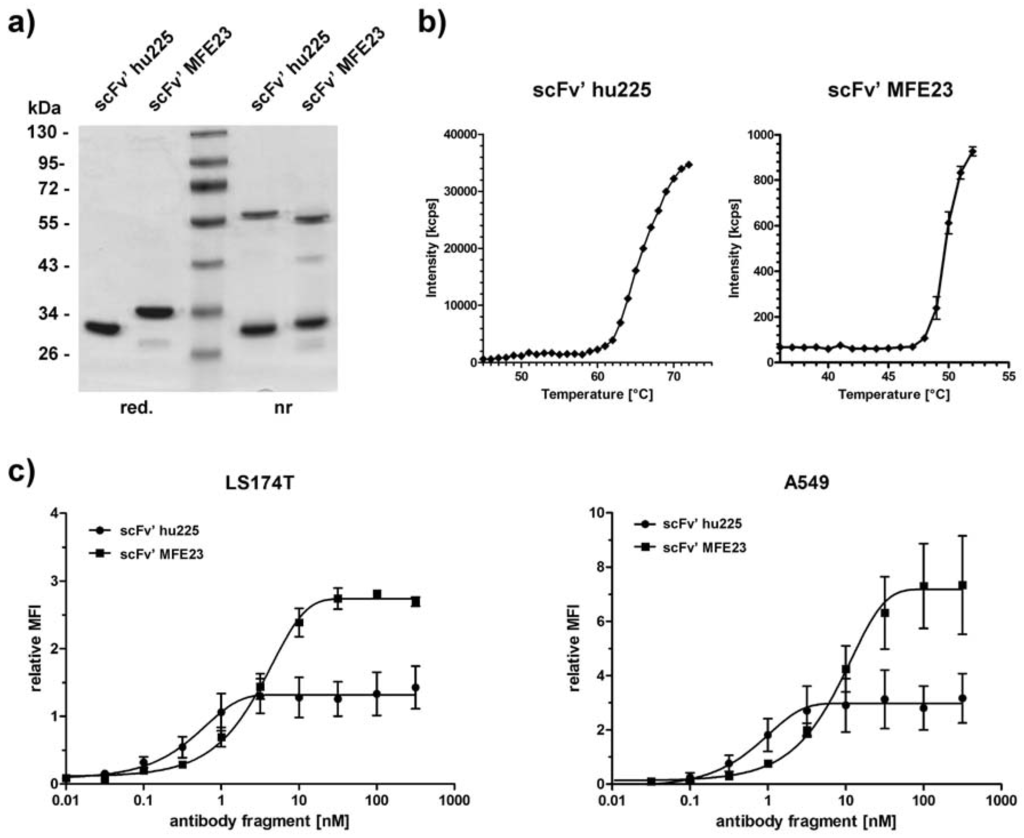Antibodies 01 00199 g003 1024