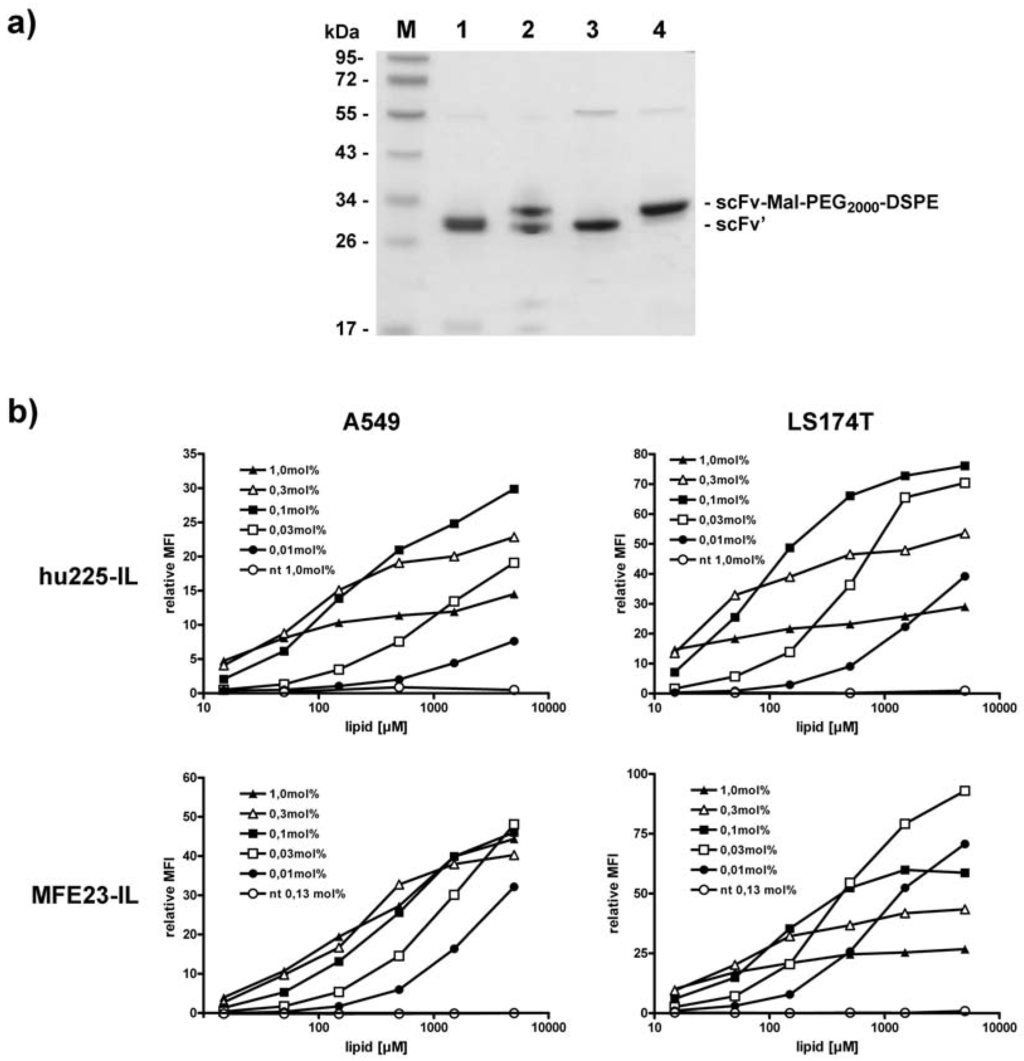 Antibodies 01 00199 g004 1024
