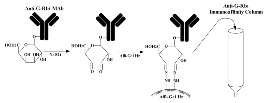 Antibodies 01 00294 g002 1024