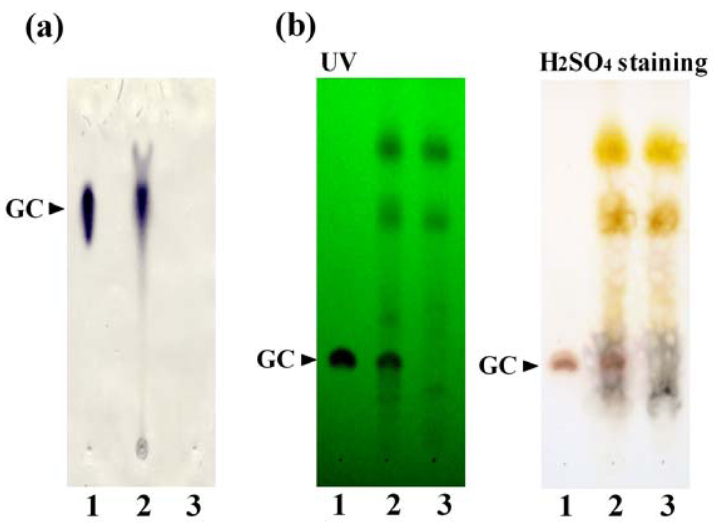 Antibodies 01 00294 g005 1024