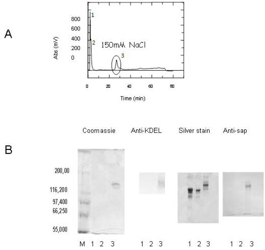 Antibodies 02 00050 g002 1024