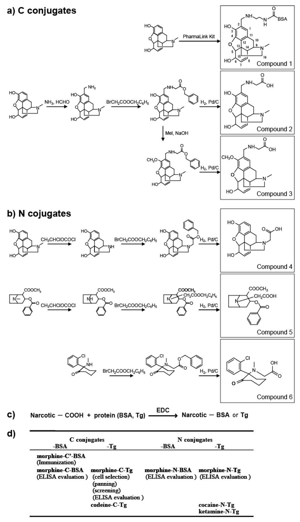 Antibodies 02 00093 g001 1024