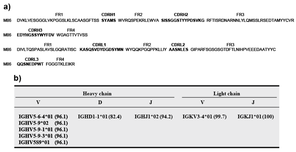 Antibodies 02 00093 g003 1024
