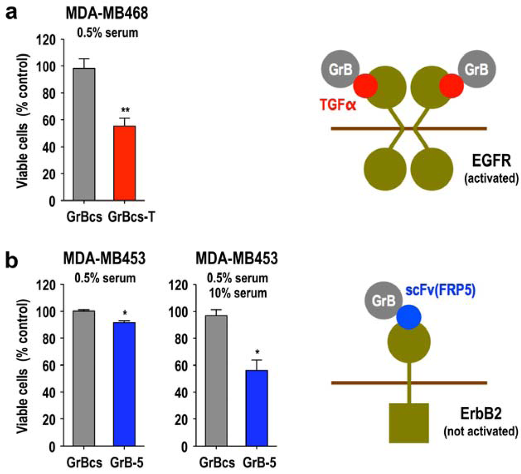 Antibodies 02 00130 g004 1024