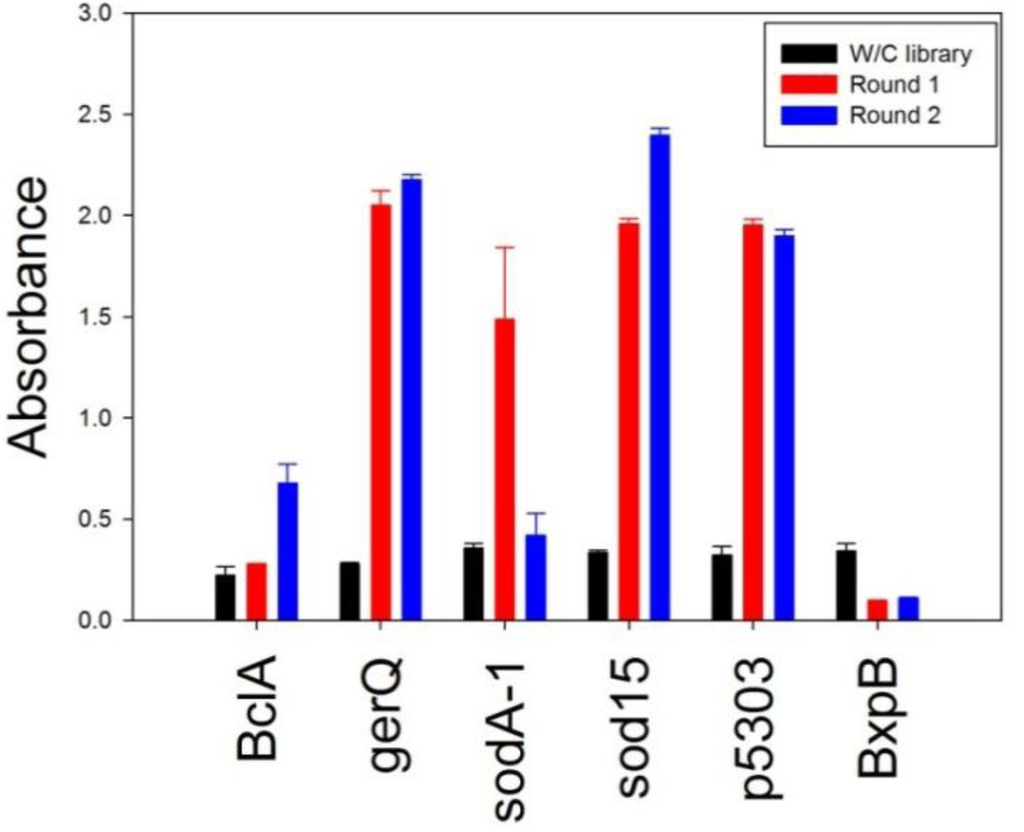 Antibodies 02 00152 g002 1024