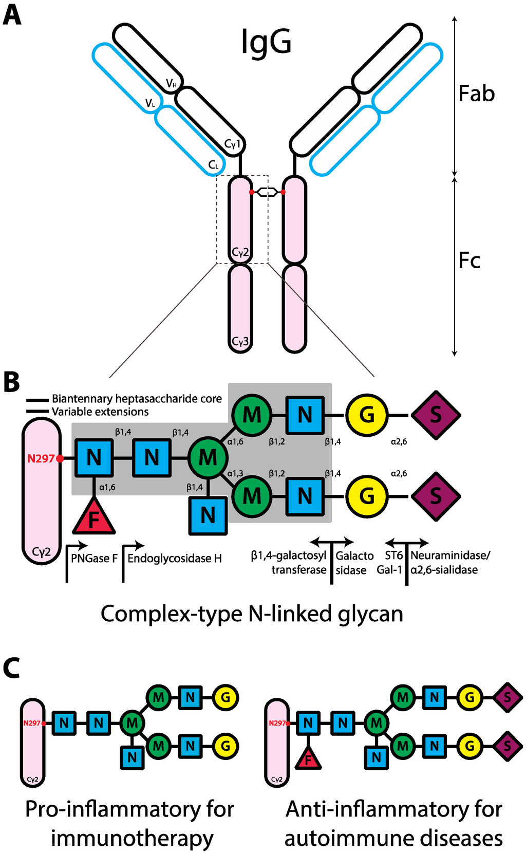 Antibodies 02 00392 g001 1024