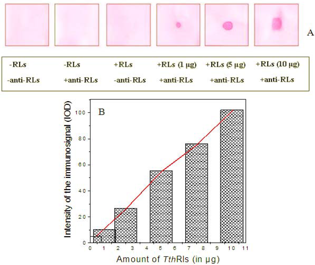Antibodies 02 00501 g004 1024