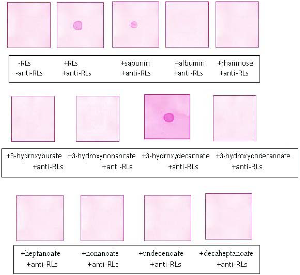 Antibodies 02 00501 g005 1024