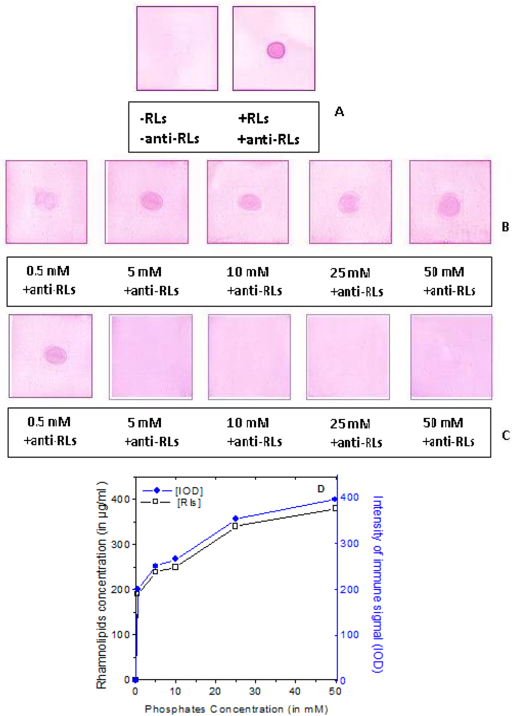 Antibodies 02 00501 g006 1024