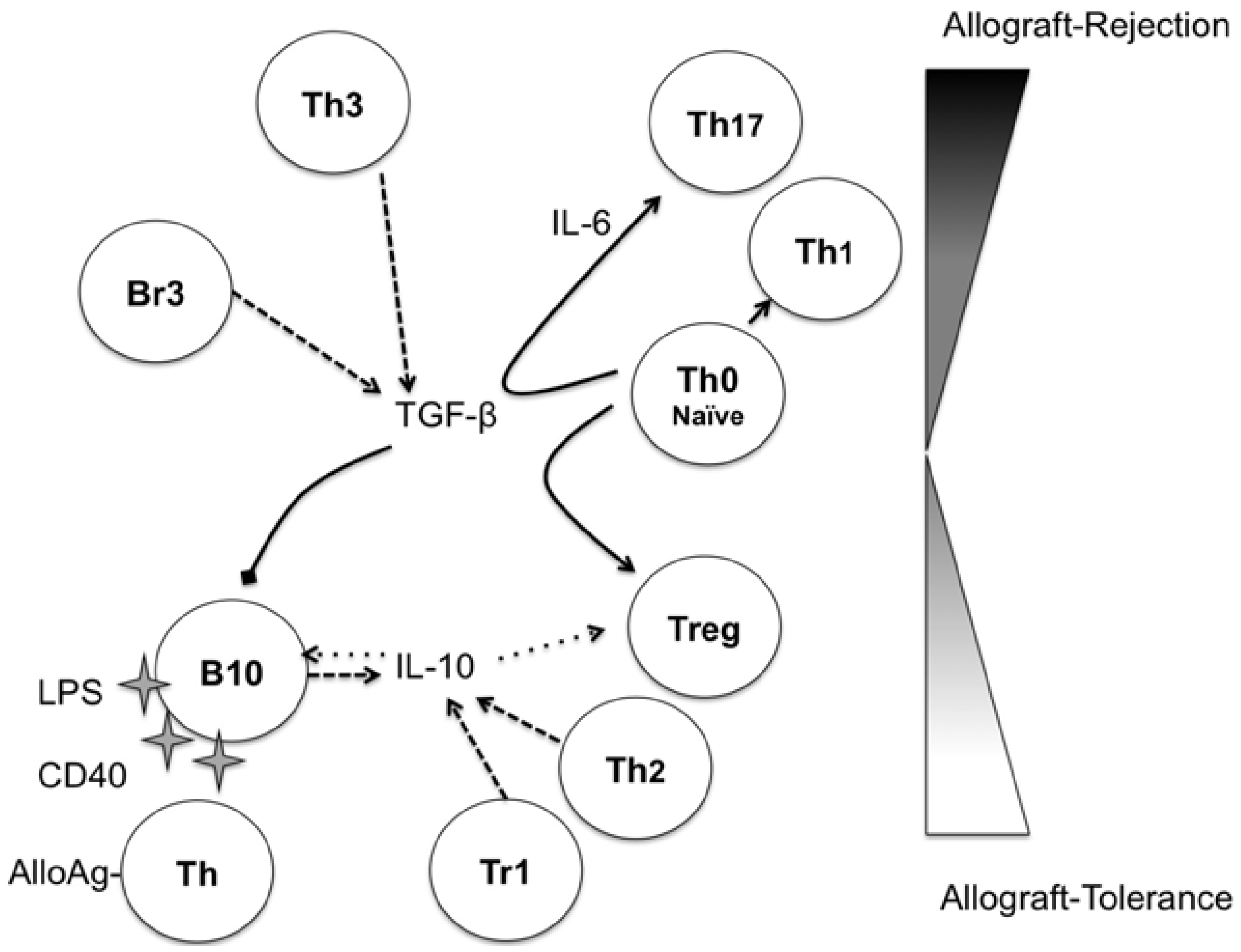 Antibodies 02 00587 g001