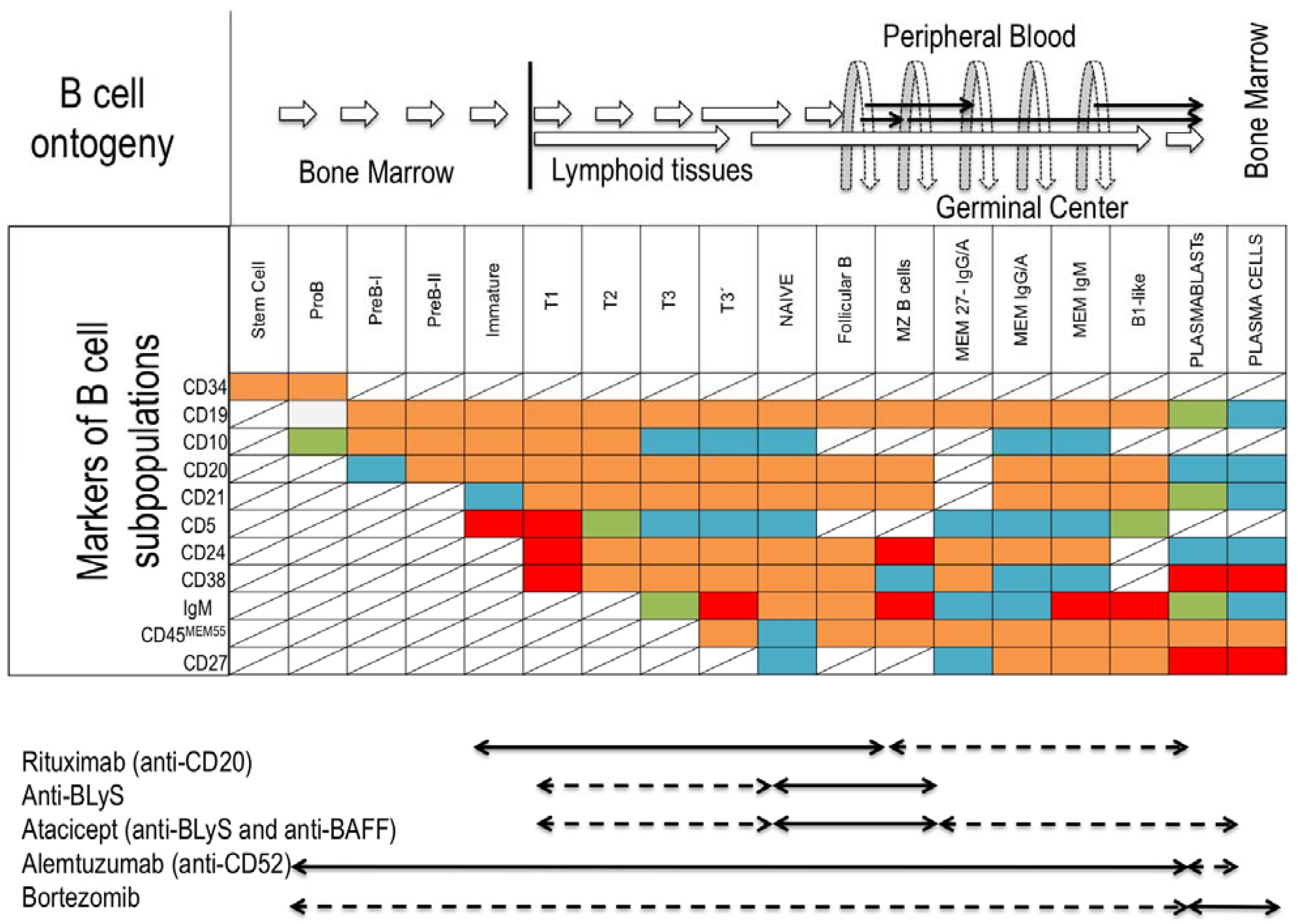 Antibodies 02 00587 g002