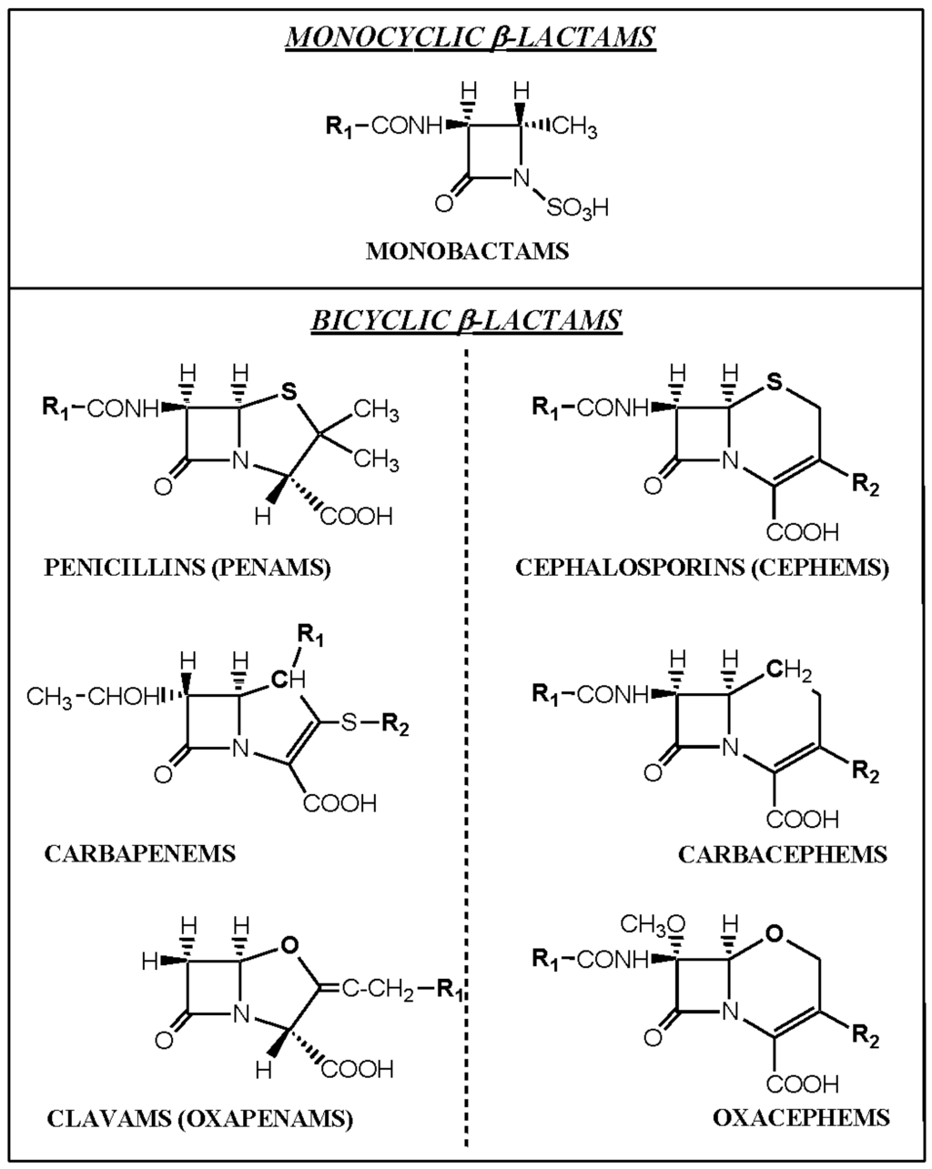 Antibodies 03 00056 g004 1024