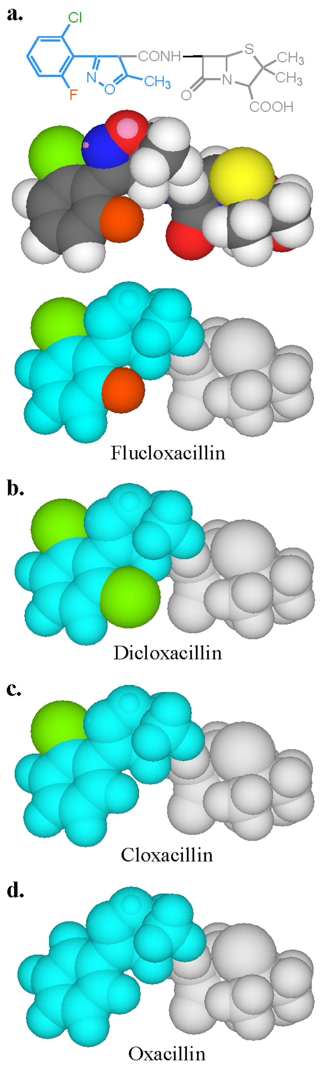 Antibodies 03 00056 g006 1024