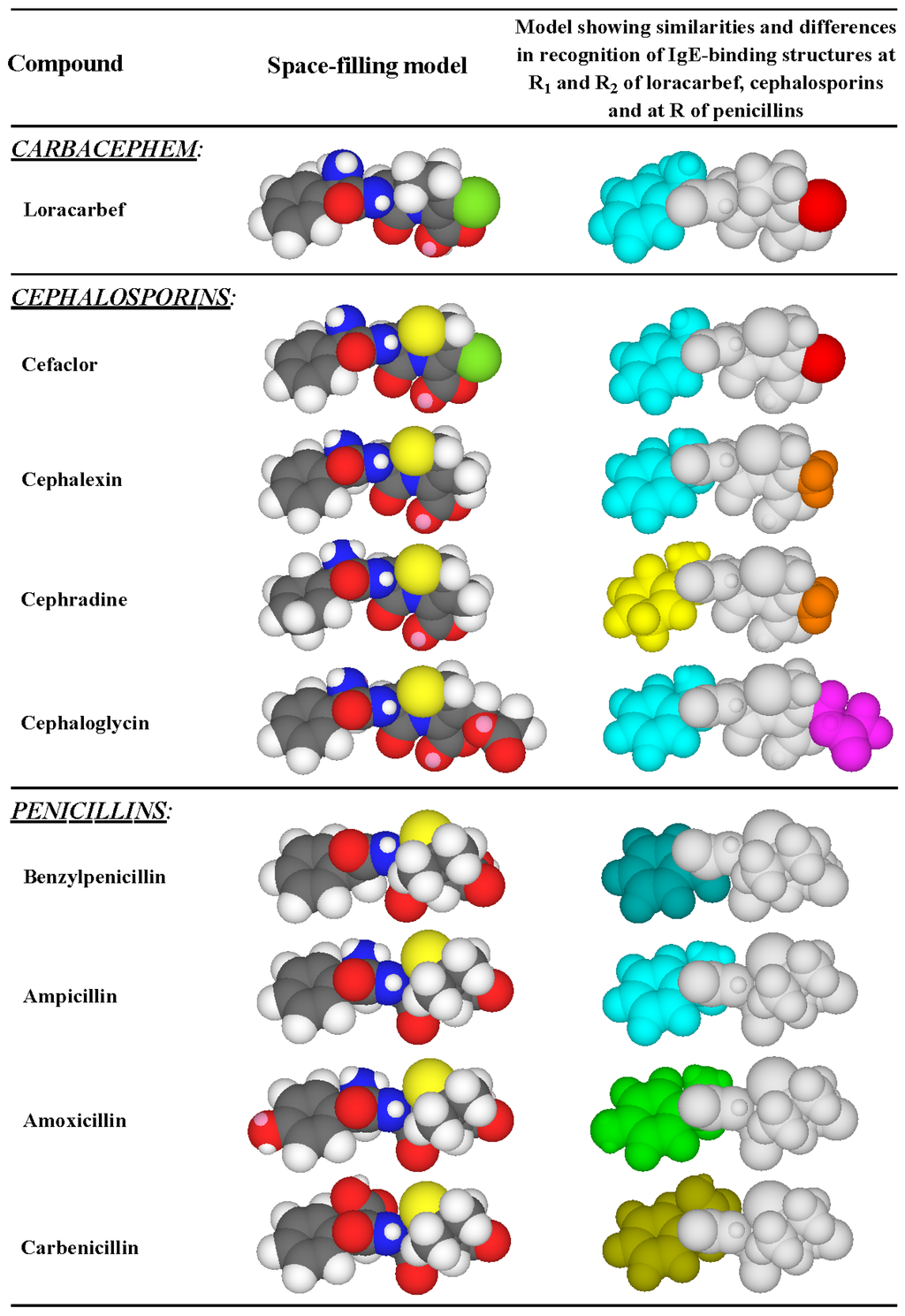 Antibodies 03 00056 g008 1024