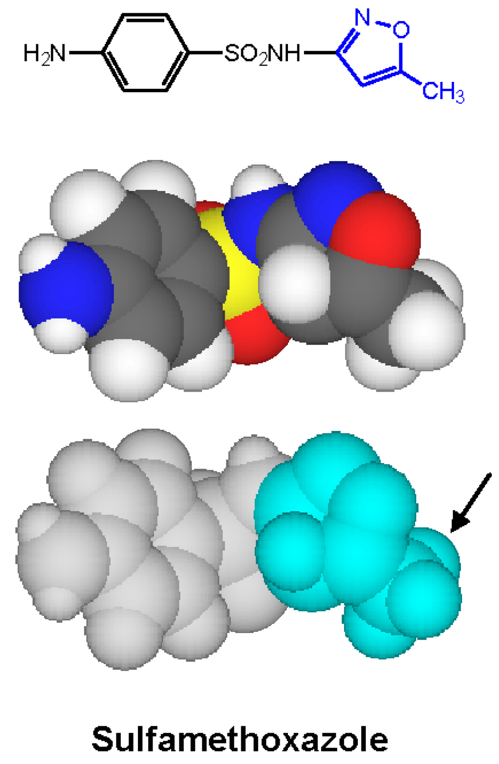 Antibodies 03 00056 g010 1024