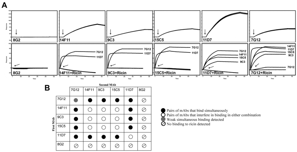 Antibodies 03 00215 g001 1024
