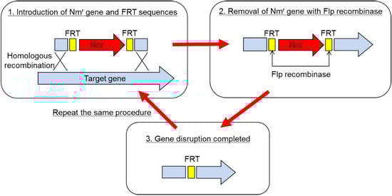 Antibodies 03 00242 g001 550