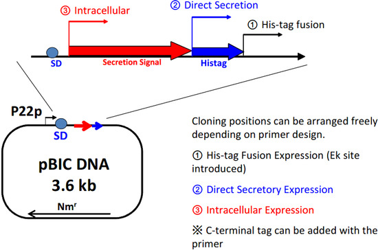 Antibodies 03 00242 g003 550