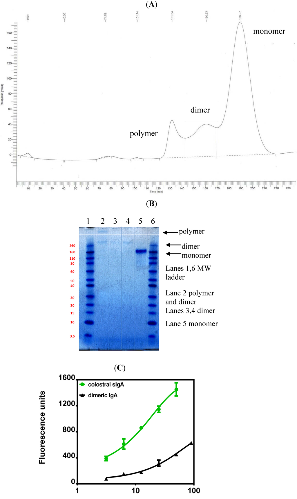 Antibodies 03 00272 g003 1024