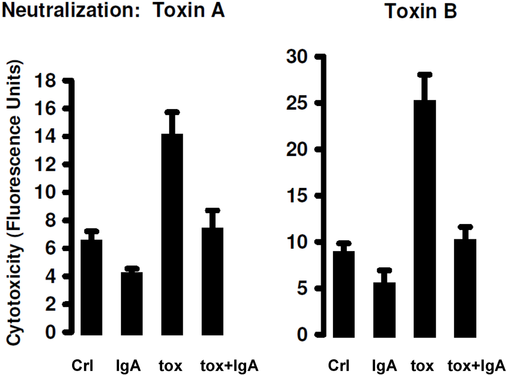 Antibodies 03 00272 g004 1024