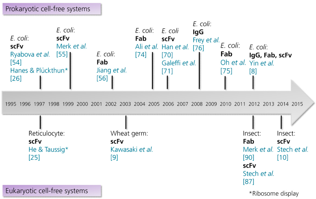 Antibodies 04 00012 g003 1024