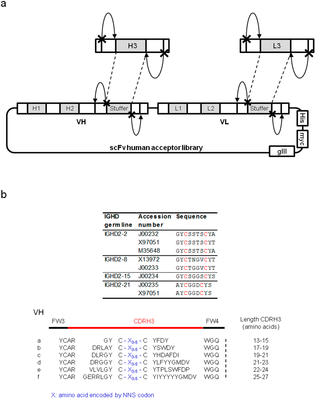 Antibodies 04 00103 g001 1024