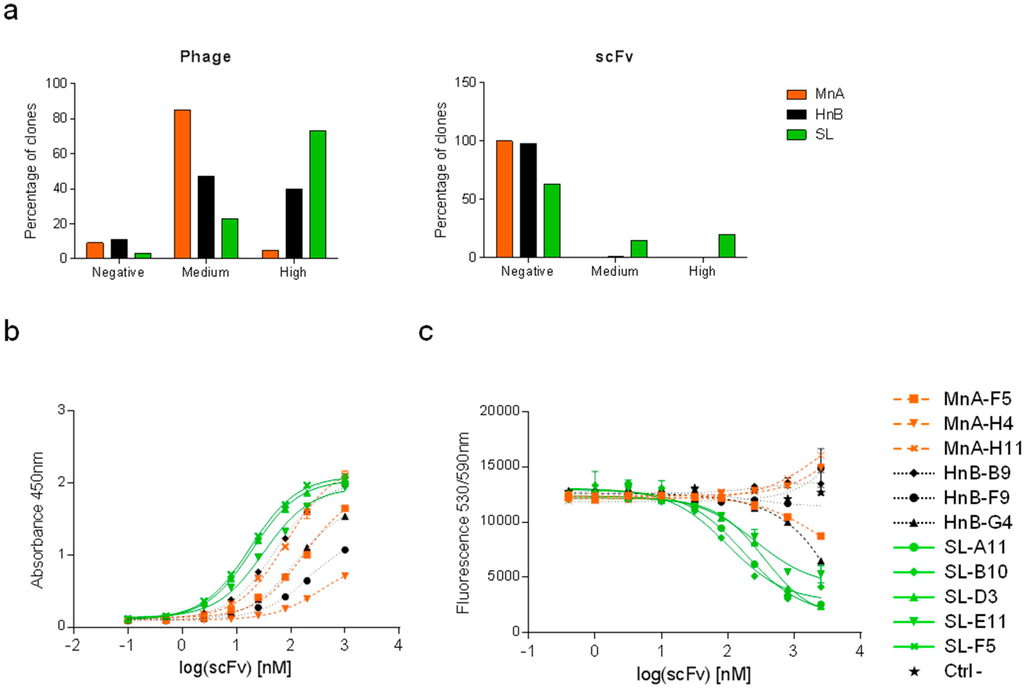 Antibodies 04 00103 g003 1024