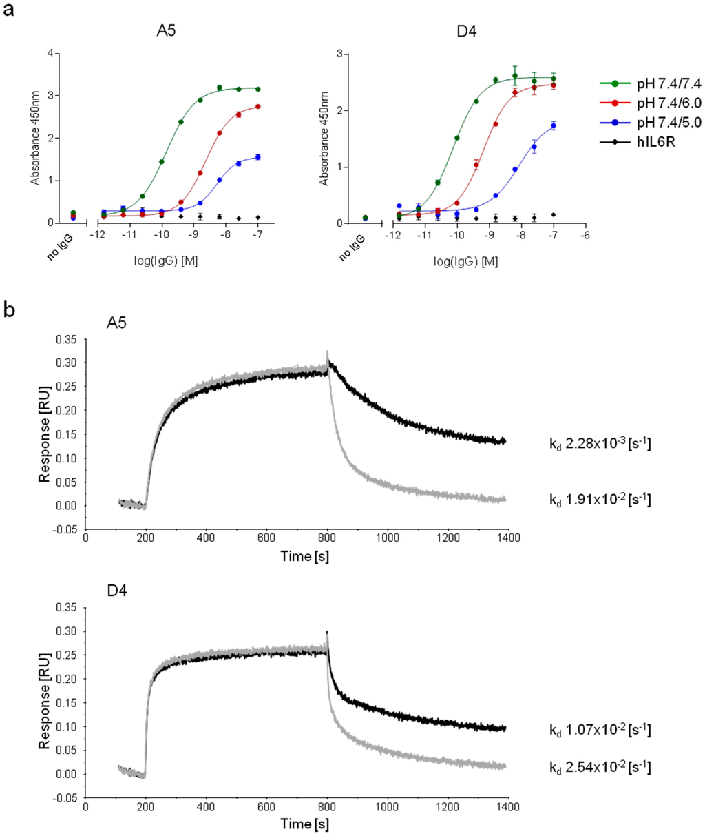 Antibodies 04 00103 g005 1024
