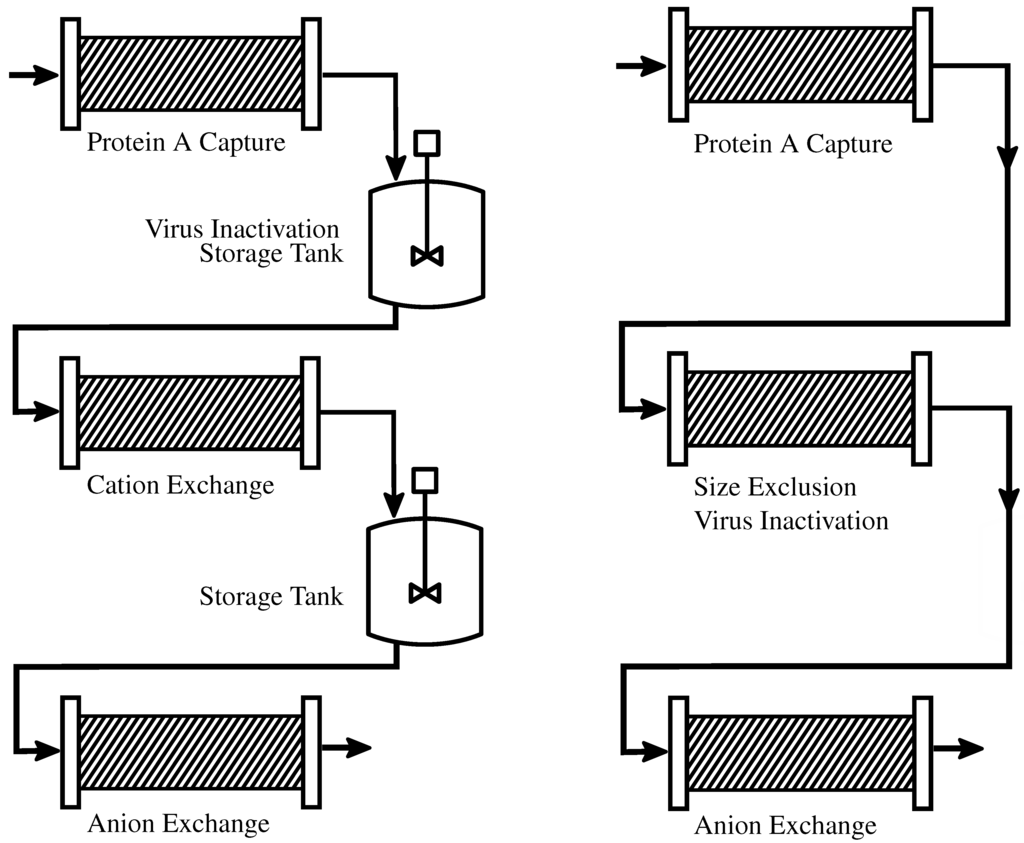 Antibodies 04 00157 g001 1024
