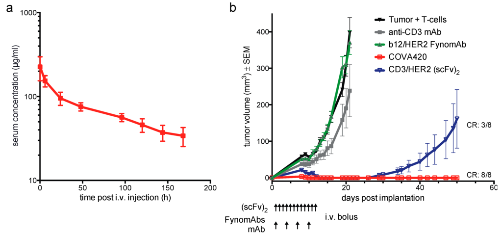 Antibodies 04 00426 g003 1024