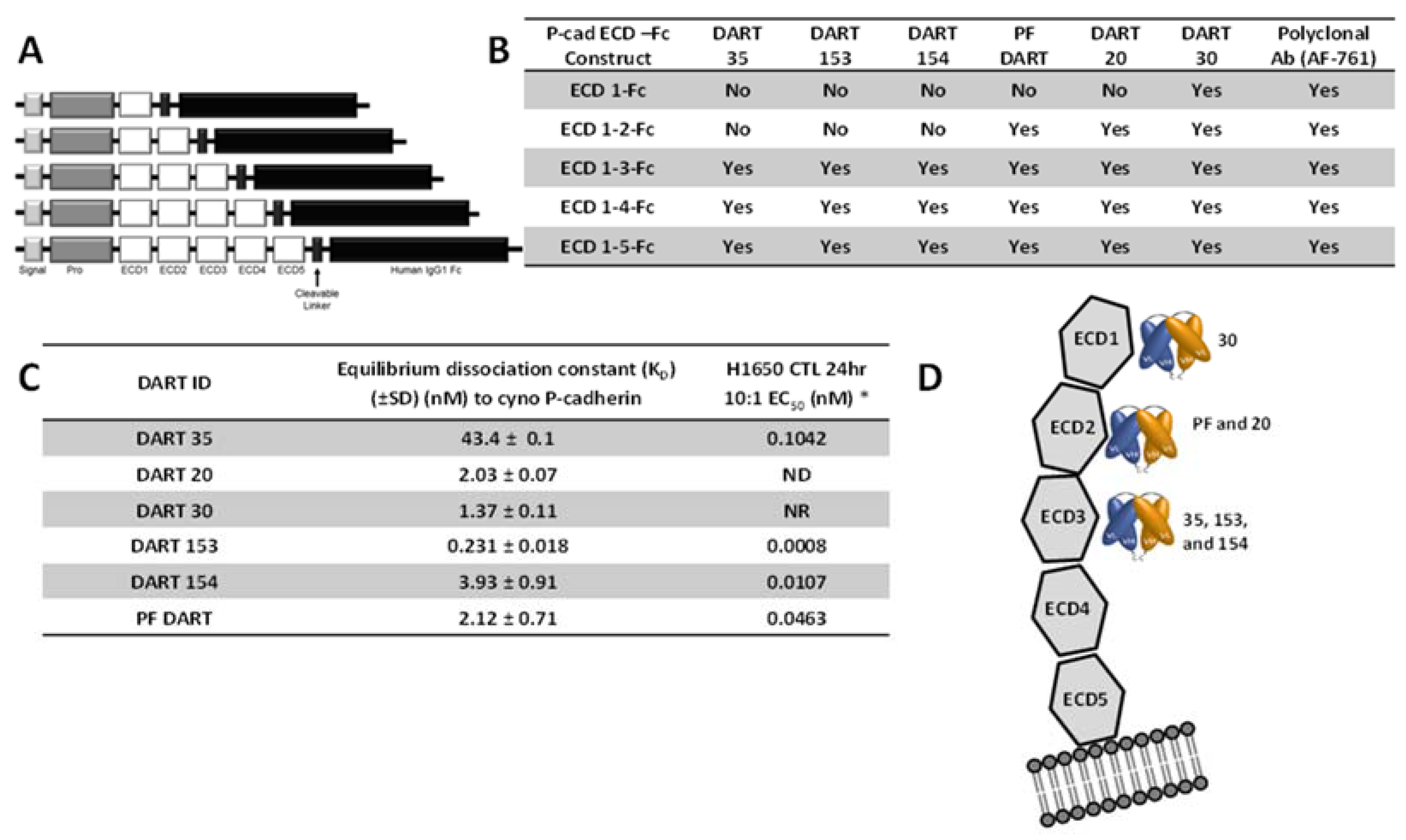 Antibodies 05 00006 g004