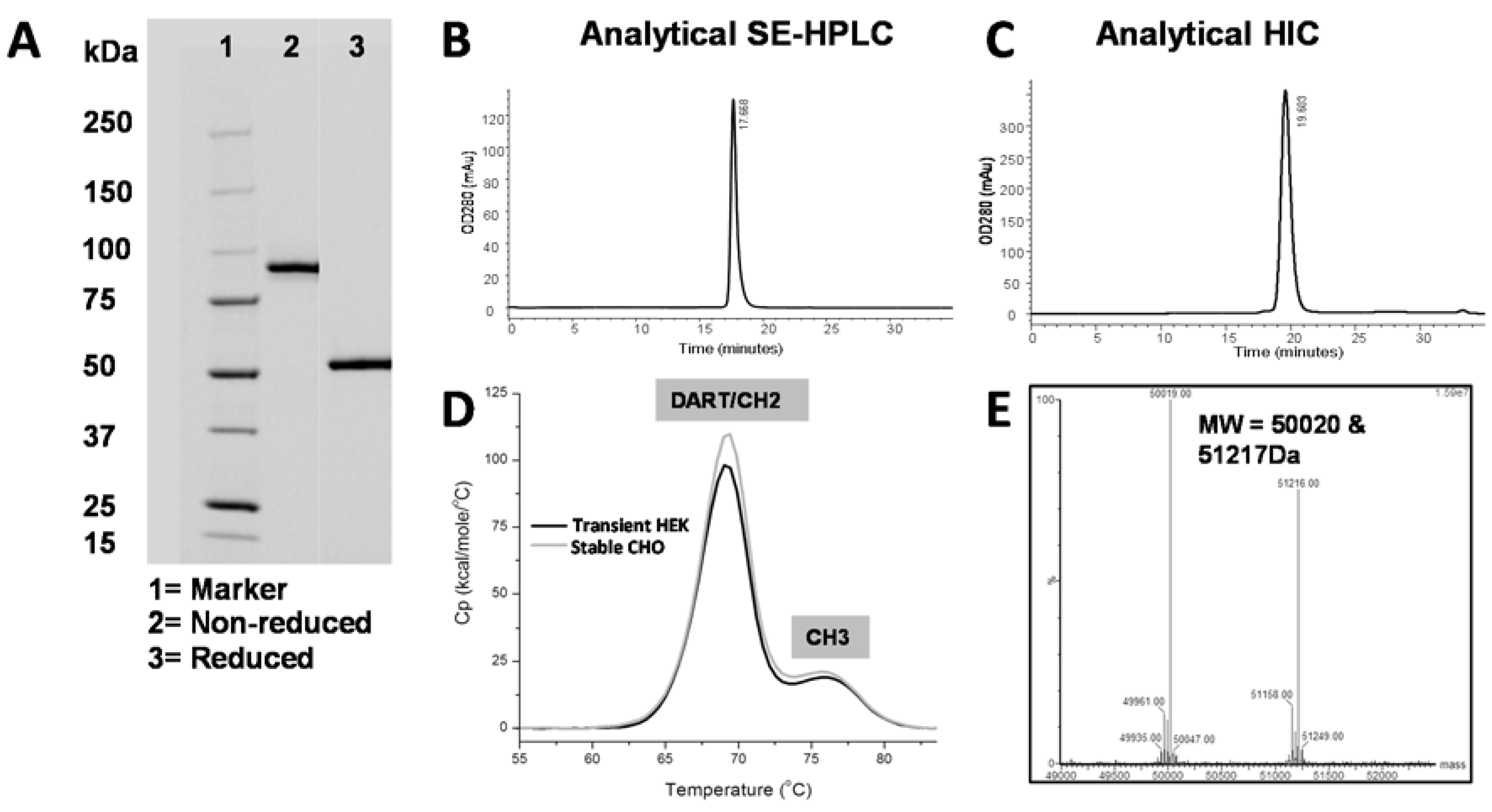 Antibodies 05 00006 g006
