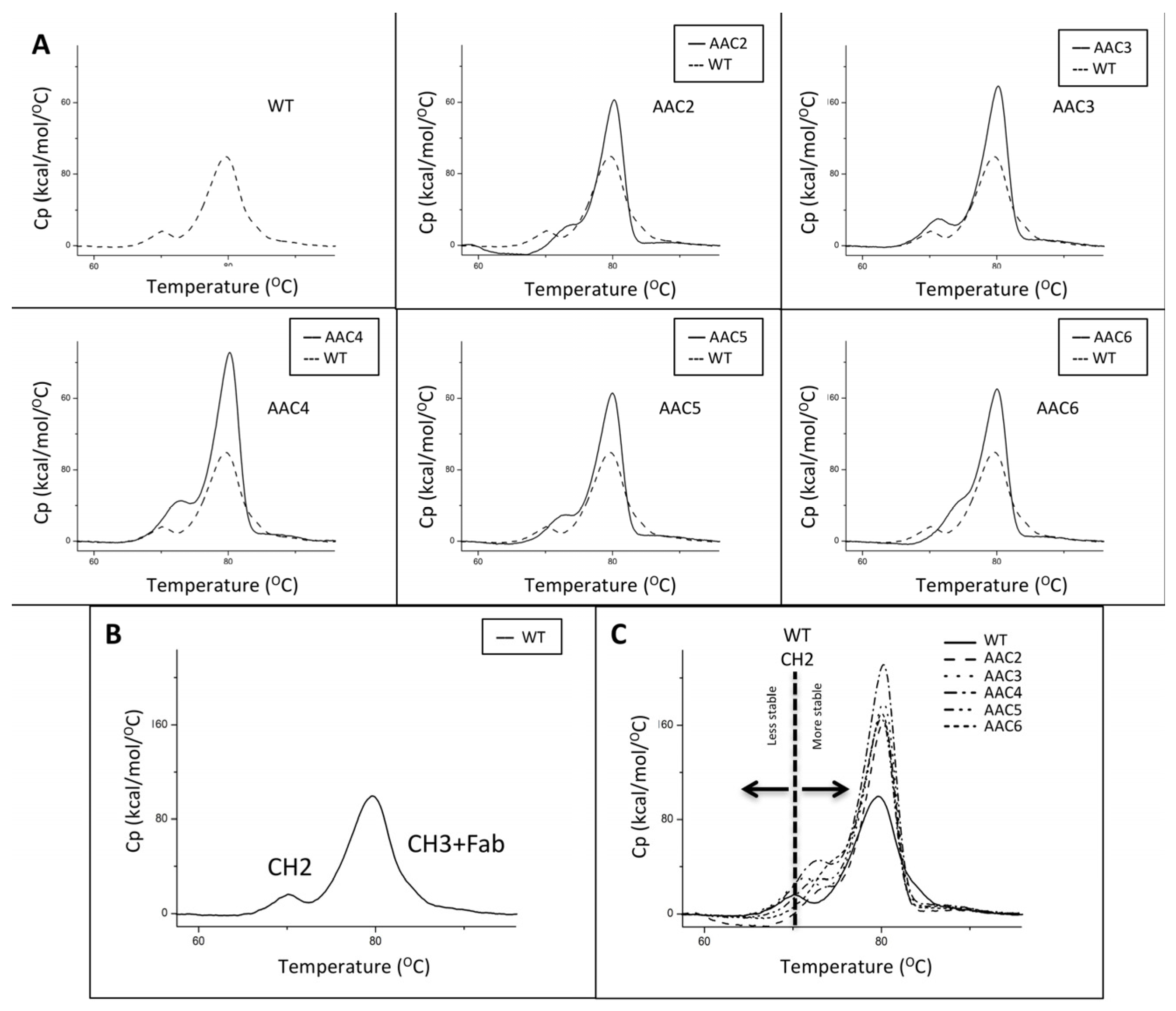 Antibodies 06 00007 g002