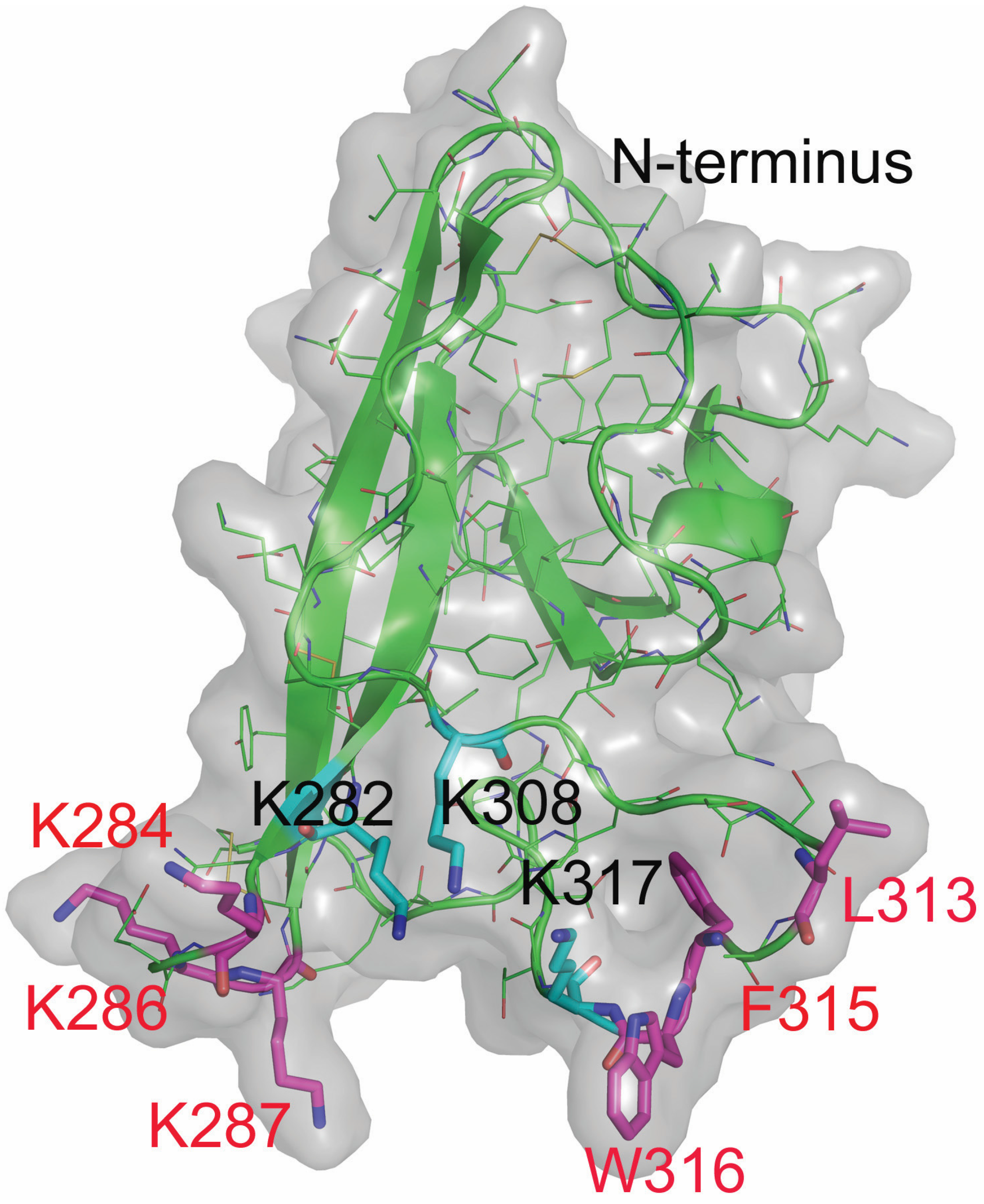 Antibodies 06 00008 g004