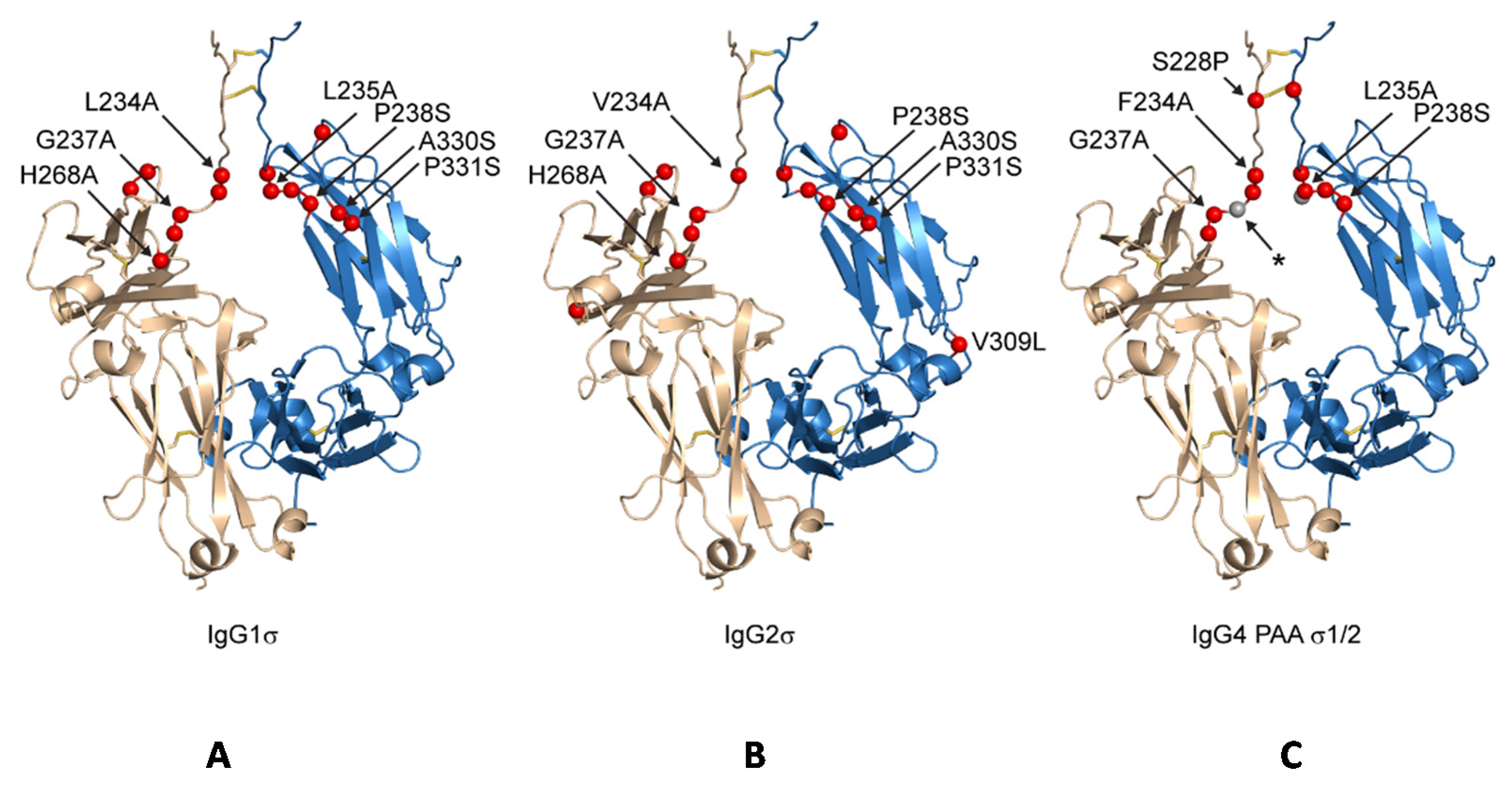 Antibodies 06 00012 g002