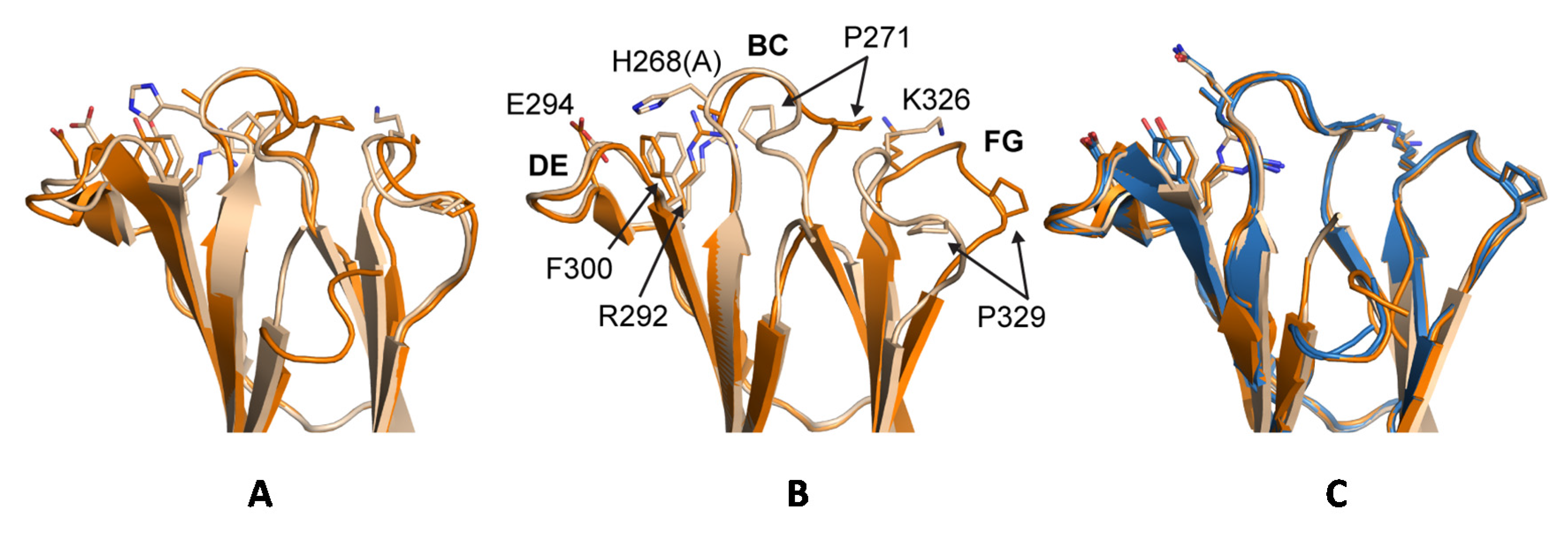 Antibodies 06 00012 g013