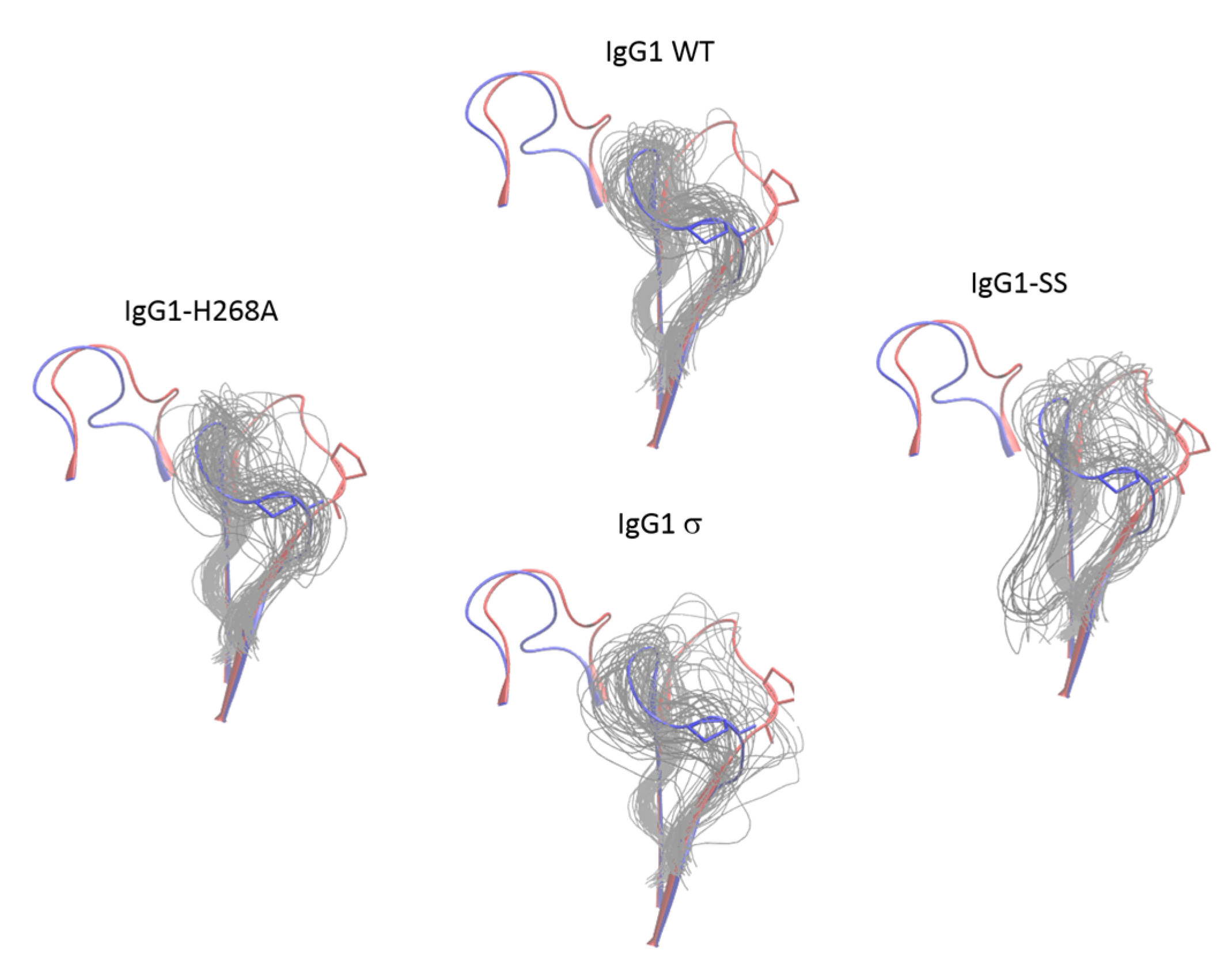 Antibodies 06 00012 g015