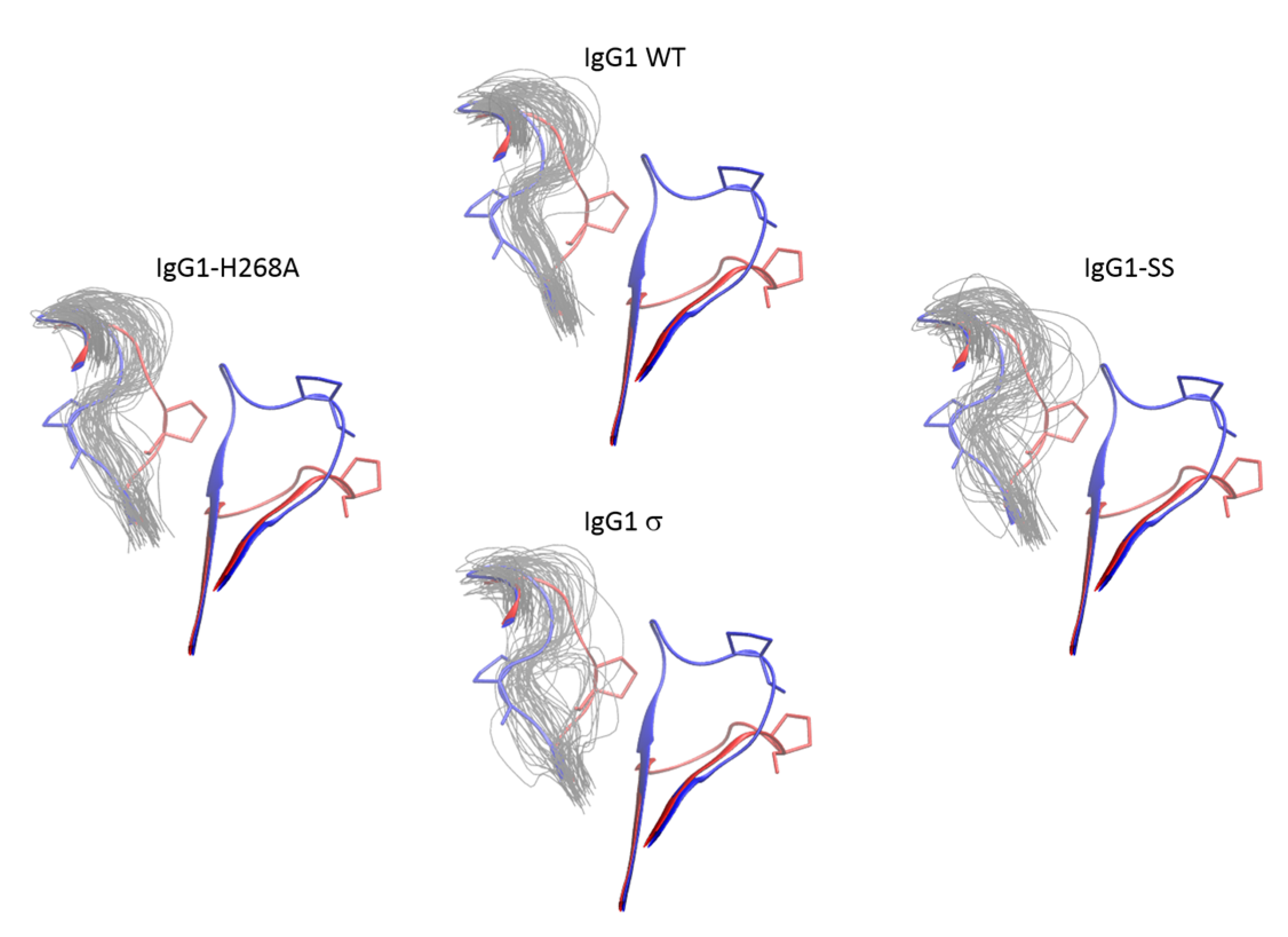 Antibodies 06 00012 g016
